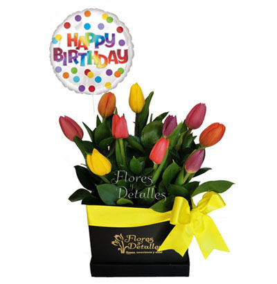 Box 10 Tulipanes Mixtos 10