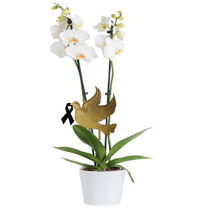 Arreglos Fúnebres 15