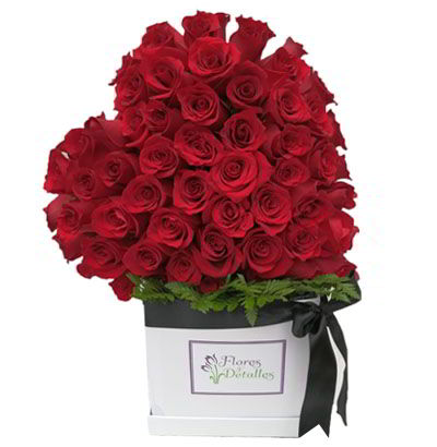 Arreglos Fúnebres 13