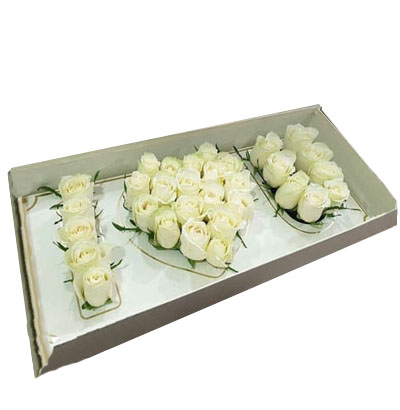 Arreglos Fúnebres 11