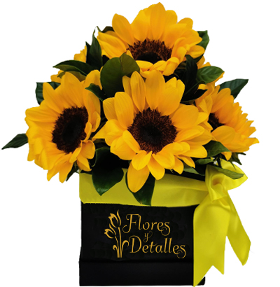 Box con Girasoles