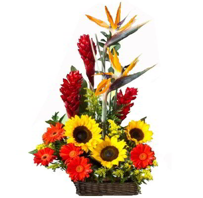 Arreglos Empresariales 05