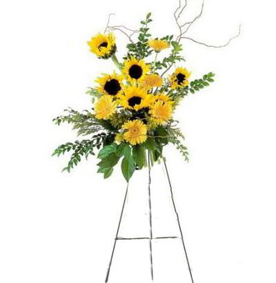 Arreglos Empresariales 18