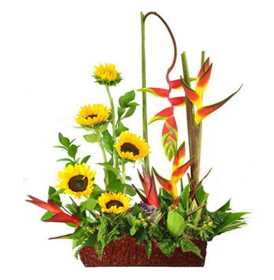 Arreglos Empresariales 08