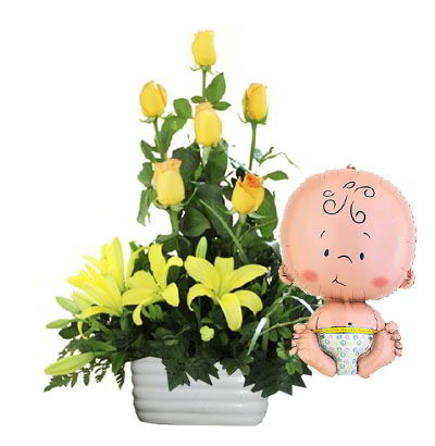 Arreglos para Niño 06