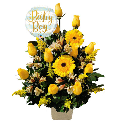 Arreglos para Niño 08