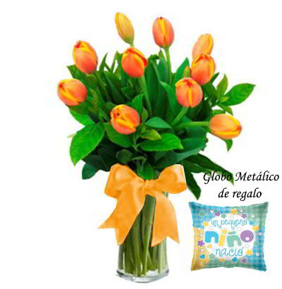 Arreglos para Niño 11