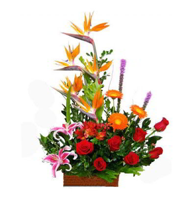 Arreglos Empresariales 02