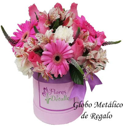 Arreglos para Niña 16