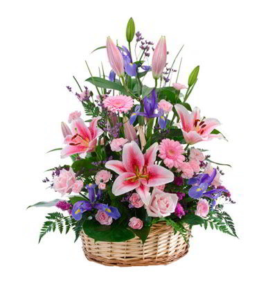 Arreglos para Niña 22