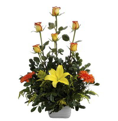 Arreglos para Niño 02