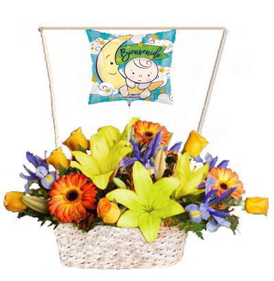 Arreglos para Niño 18