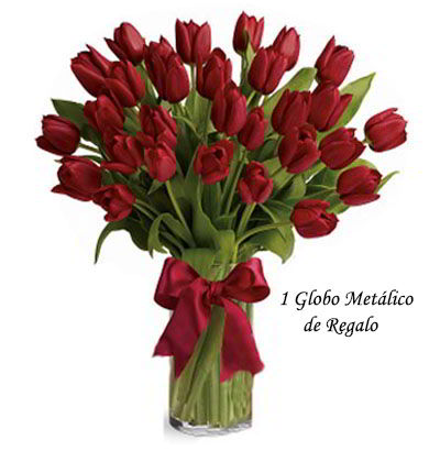 Jarrón 30 Tulipanes Rojos