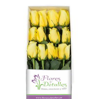 Caja 12 Rosas Amarillas 