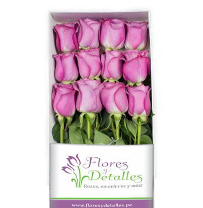 Caja 12 Rosas Lilas