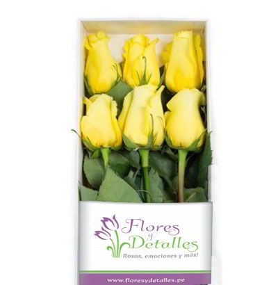 Caja 6 Rosas Amarillas