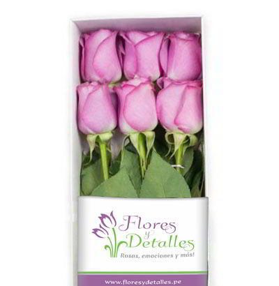 Caja 6 Rosas Lilas 