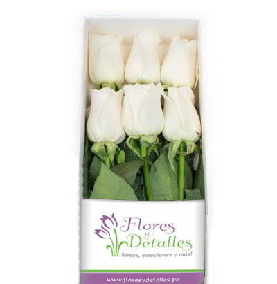 Caja 6 Rosas Blancas
