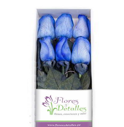 Caja 6 Rosas Azul