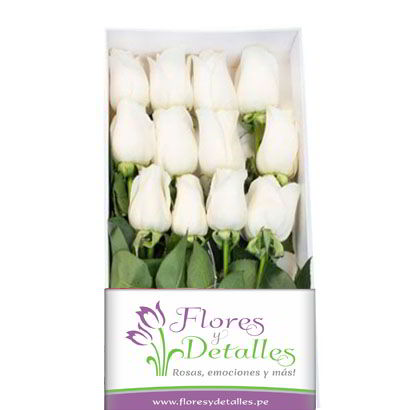 Caja 12 Rosas Blancas
