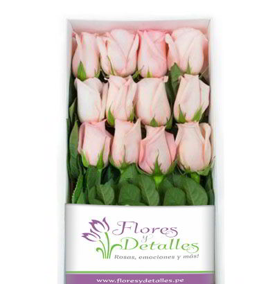 Caja 12 Rosas Rosadas
