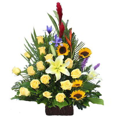 Arreglos Empresariales 14