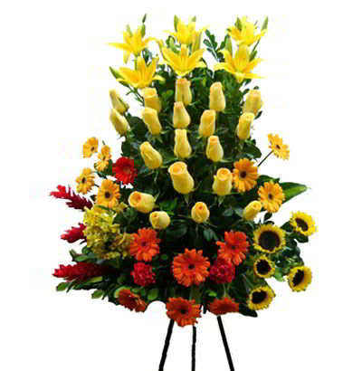 Arreglos Empresariales 26