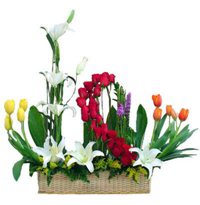 Arreglos Empresariales 16