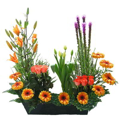 Arreglos Empresariales 17