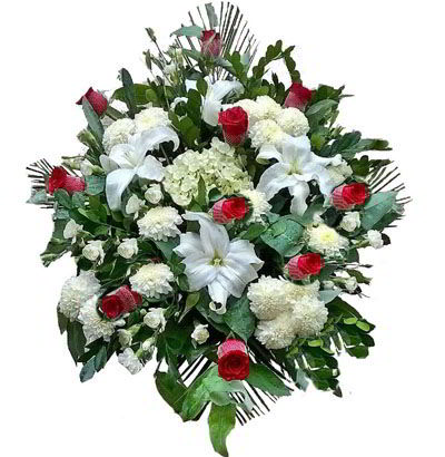 Lágrimas Fúnebres 07