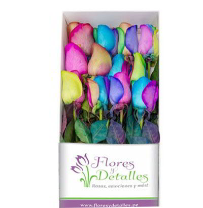  Caja 12 Rosas Multicolor 
