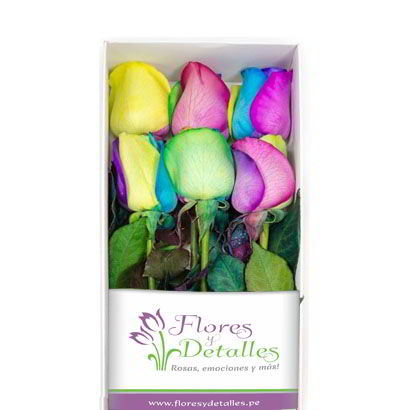 Caja 6 Rosas Multicolor
