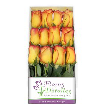 Caja 12 Rosas Circus