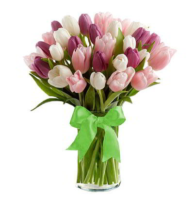 Jarrón 30 Tulipanes Mixtos