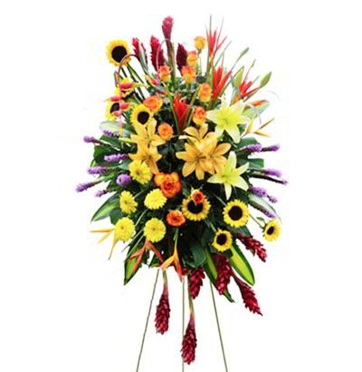 Arreglos Empresariales 24