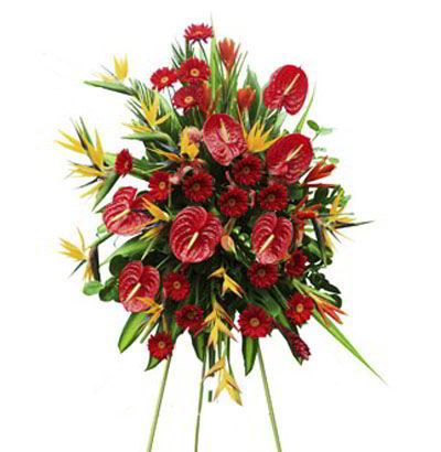 Arreglos Empresariales 23