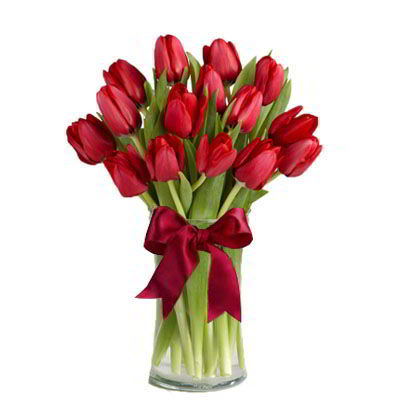 Jarrón 15 Tulipanes rojos