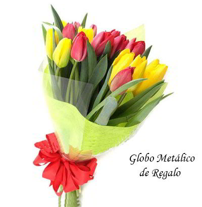 Ramo de 20 tulipanes mixtos