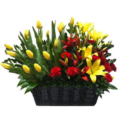 Arreglo con 15 Tulipanes 14