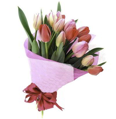 Ramo 15 Tulipanes mixtos