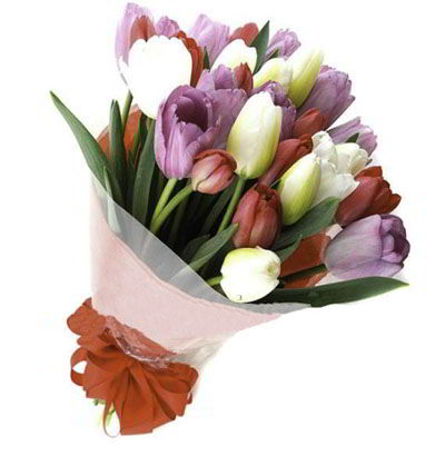 Ramo 30 Tulipanes mixtos