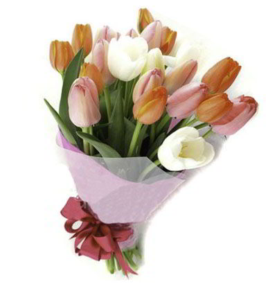 Ramo 20 Tulipanes mixtos