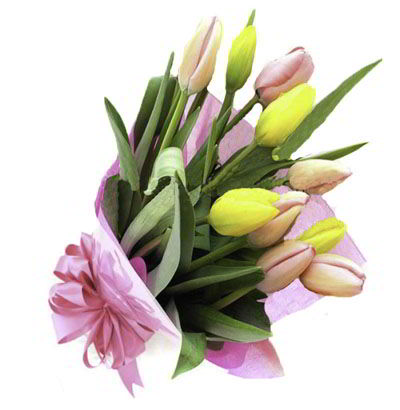 Ramo de 10 Tulipanes Mixtos