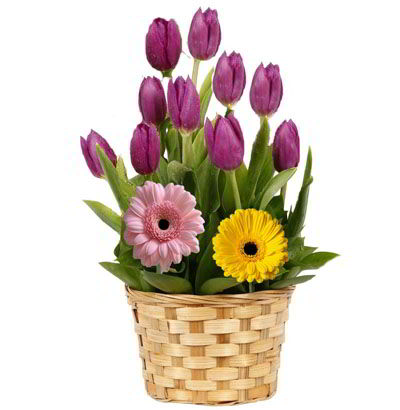 Arreglo con 10 Tulipanes 09