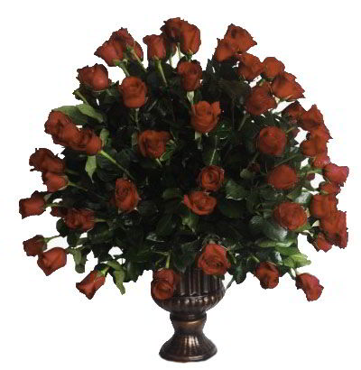 A34 Arreglo con 100 Rosas