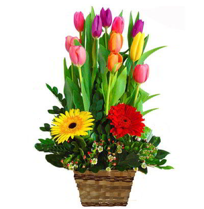 Arreglos con 10 Tulipanes 04