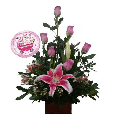 Arreglos para Niña 03