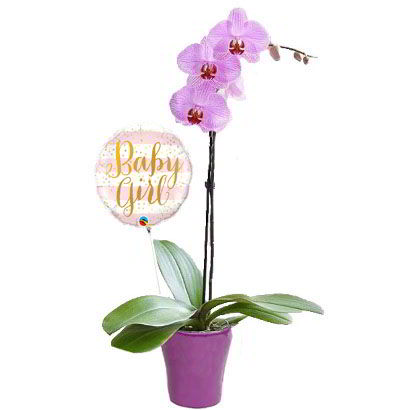 Arreglos para Niña 10