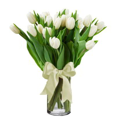 Jarrón 20 Tulipanes Blancos