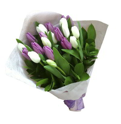 Ramo de 20 Tulipanes Mixtos